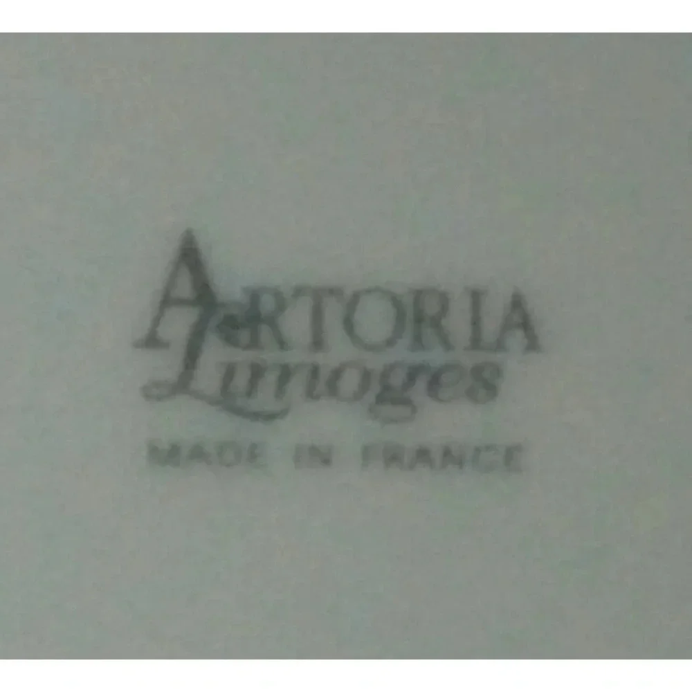 Paris France Hotel Marignan Limoges Porcelain Dish